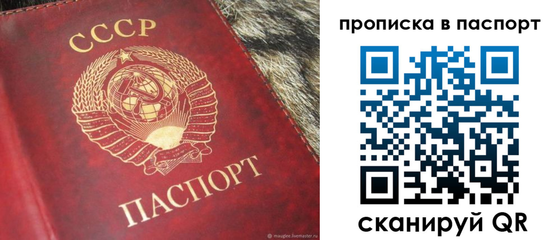 временная регистрация для всех в Тихорецке
